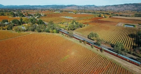 Napa Valley Wine Train passing famous Napa Sign in Fall Autumn Stock Footage 73193020