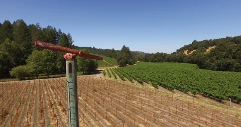Napa vineyard Drone Stock Footage 95008570