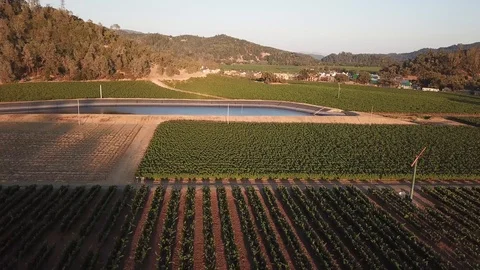 Napa Vineyards Stock Footage 92722382