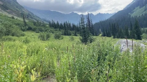 Napeequa River Valley Glacier Peak Wildernes Washington Video stock 221581797