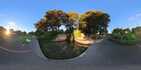 Napier Beach - 360° Sandy Shore Walk Stock Footage 335644034