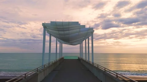 Napier pierre Stock Footage 317080087