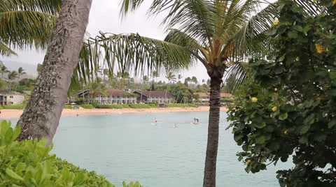 Napili Bay Video stock 25240516