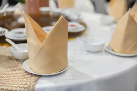 Napkin set on the table, dish and sauce Stock Photos