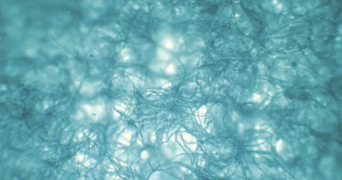 Napkin under a microscope. Microscopic web. Thriller web of unknown texture Stock Footage 199140717