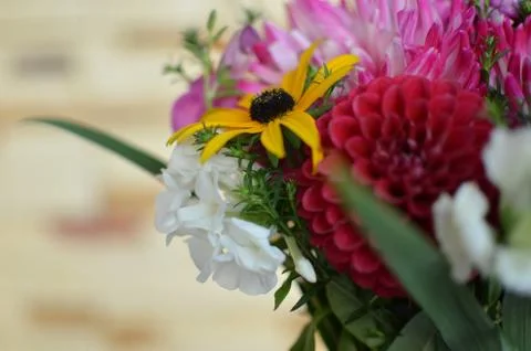 Napkins on the table Stock Photos