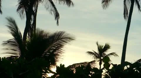 Naples Beach Sunrise Timelapse Stock Footage 18172282