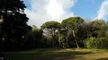 Naples, Park And Villa Floridiana 4k or 4k+ Resolution