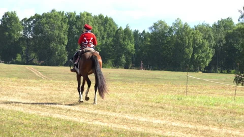 Napoleon's army cavalry Stock Footage 207352012