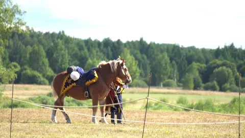 Napoleon's army cavalry Stock Footage 207352310