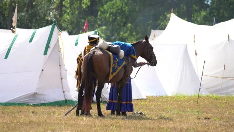 Napoleon's army cavalry Stock Footage 207353050