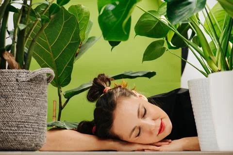 Napping woman lying on the table in between big pots with plants Stock Photos