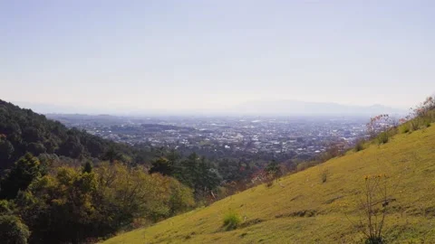 Nara Stock Footage 227454347