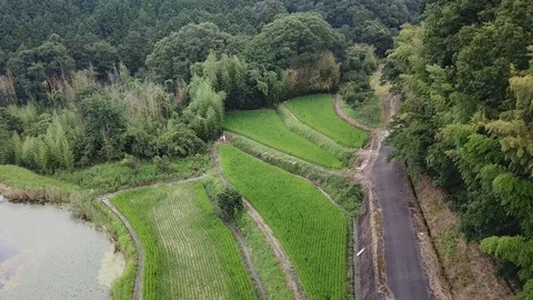 Nara in Japan Stock Footage 113649184
