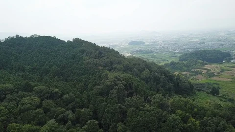 Nara in Japan Stock Footage 113693486