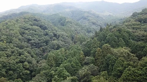 Nara in Japan Stock Footage 113718405