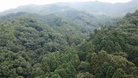 Nara in Japan Stock Footage 113720462