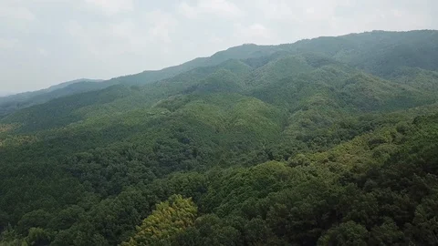 Nara in Japan Stock Footage 113721511