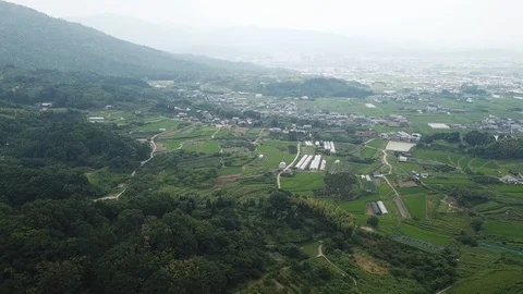 Nara in Japan 動画素材 113744714