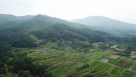 Nara in Japan Stock Footage 113748660