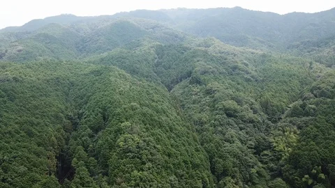 Nara in Japan Stock Footage 113756149
