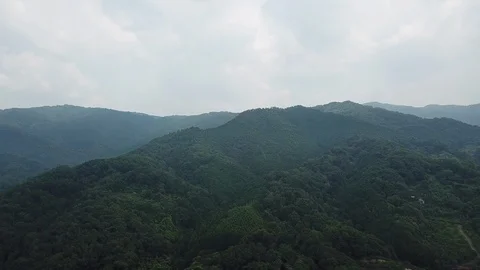 Nara in Japan Stock Footage 113759006