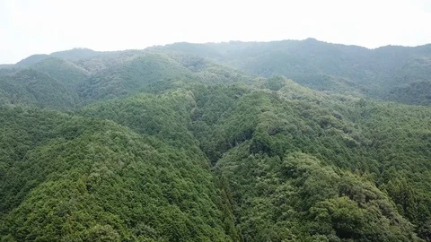 Nara in Japan Stock Footage 113760357