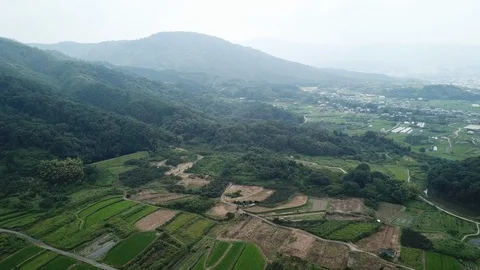 Nara in Japan Stock Footage 113765832