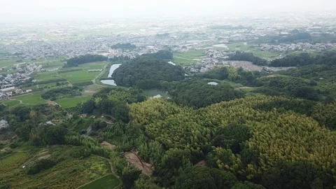 Nara in Japan Stock Footage 113796564