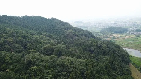 Nara in Japan Stock Footage 113796571
