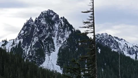 Narada Falls in Mount Rainier National Park, Washington State, USA Video stock 332143960