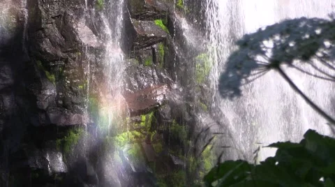Narada Falls Rainbow Vídeo Stock 40976352