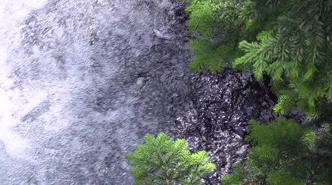 Narada Falls Tree and Water Stock Footage 40976322