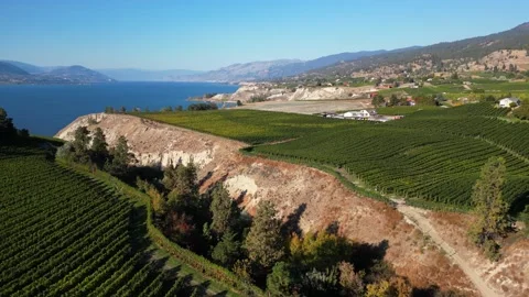 Naramata Bench Winery Vineyard Penticton Okanagan Valley Stock Footage 219982811
