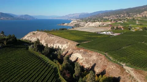 Naramata Bench Winery Vineyard Penticton Okanagan Valley Stock Footage 219983080