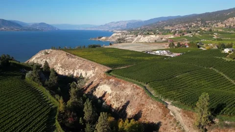 Naramata Bench Winery Vineyard Penticton Okanagan Valley Stock Footage 219984976