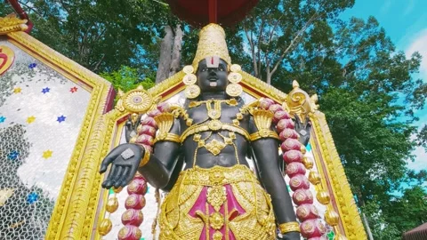 Narayana 動画素材 340874003