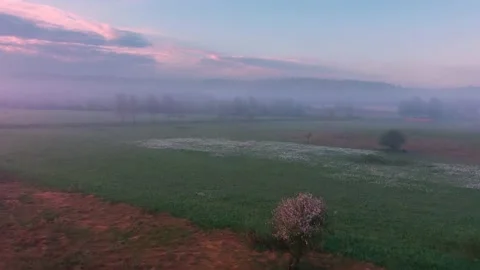 NARCIS Hust tuman (6) Video stock 170575686
