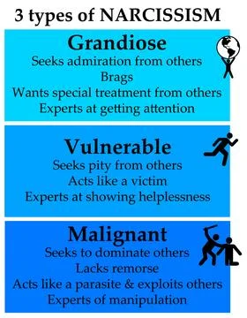 Narcissism types 스톡 일러스트