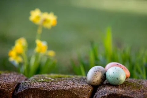 Narcissus and easter eggs Foto stock