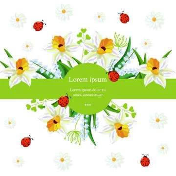 Narcissus flowers background Vector. Spring Holidays illustrations Stock Illustration