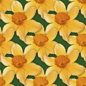 Narcissus Seamless Texture Background Pattern Stock Photos
