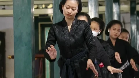 Nari (1) Stock Footage 220326161