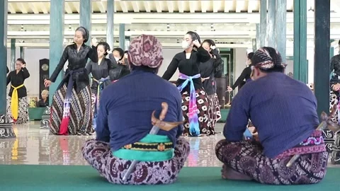 Nari (2) Stock Footage 220325790