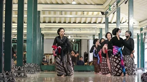 Nari (3) Stock Footage 220325792