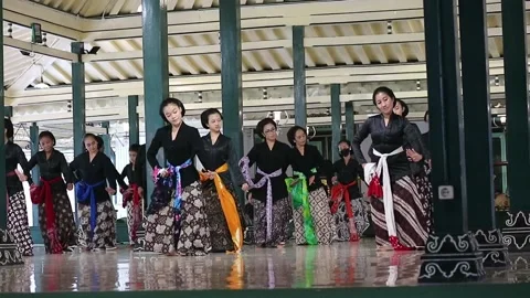 Nari (4) Stock Footage 220325850