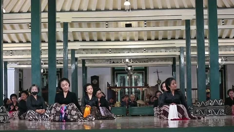 Nari (8) Stock Footage 220325865