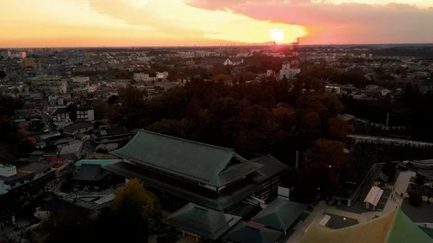 Narita-San D Vidéo 102213348