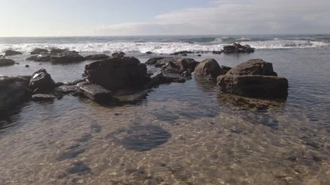 Narrabeen Reserve 3 Stock Footage 150433438