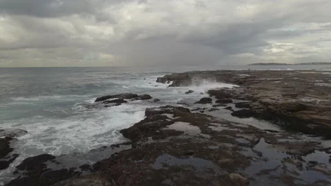 Narrabeen Reserve 4 Stock Footage 150435097